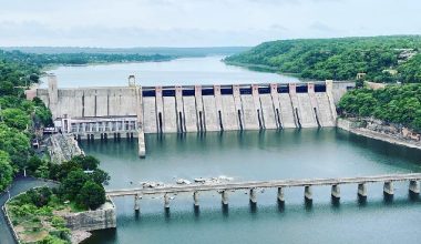 गान्धी सागर बन्यो जनावरको मनपर्ने क्षेत्र