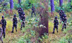 चोरी सिकारी रोक्न सेनाको गस्ती