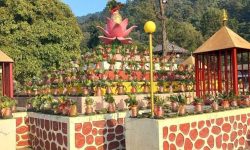 बाढीबाट गोदावरीधामका मठमन्दिरमा क्षति