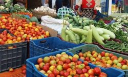 गोलभेँडामा भेटियो अत्यधिक विषादी