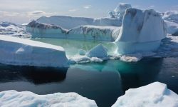 भविष्यका लागि चेतावनी