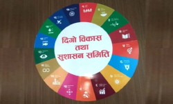 सङ्कल्प प्रस्ताव कार्ययोजना कार्यान्वयन गर्न निर्देशन