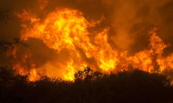 हवाई टापुको डढेलोमा ज्यान गुमाउनेको सङ्ख्या एक सय माथि