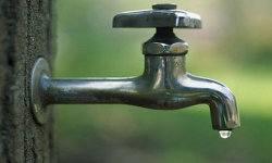 थोपा-थोपा पानीका लागि तड्पिरहेको अफ्रिका