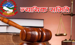 महानगरको न्यायिक समितिद्वारा एक वर्षमा ४६ मुद्दा फछ्र्योट