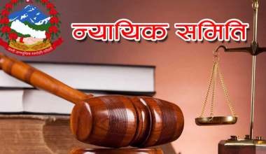 महानगरको न्यायिक समितिद्वारा एक वर्षमा ४६ मुद्दा फछ्र्योट