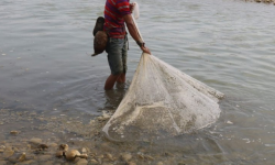 माछा मार्ने क्रममा त्रिशूलीमा युवक बेपत्ता