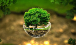 जैविक विविधता पर्यावरणीय तथा जलवायुमैत्री कृषि प्रवर्द्धन गरिने