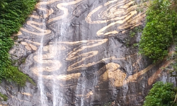 नागछाँगाको प्रवर्द्धन गर्न मेला