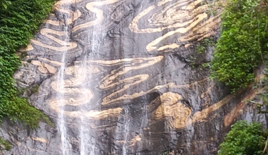 नागछाँगाको प्रवर्द्धन गर्न मेला