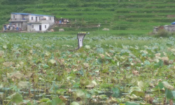 नाग र कमलको फुलले चिनाएको धार्मिक पर्यटकीय गन्तव्य