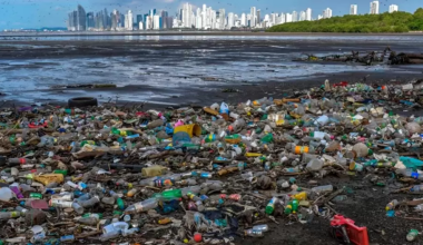 समुद्रमा प्लाष्टिक प्रदुषण