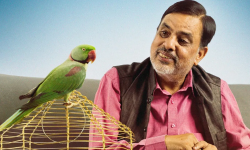 ओटीटीमा ‘महापुरुष’