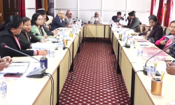 ९ वटा संसदीय समितिको सभापति सर्वसम्मत