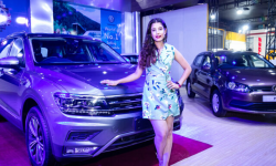 नाडा अटोशोको तयारी पूरा, २० अर्बको कारोबार हुने अनुमान