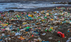 प्लास्टिकका फोहोरले छोप्यो समुद्र