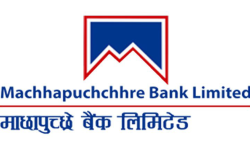 माछापुच्छ्रे बैंकको लाभांश घोषणा