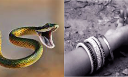 सर्पले डसेकी महिलाको झारफुक गर्दागर्दै मृत्यु