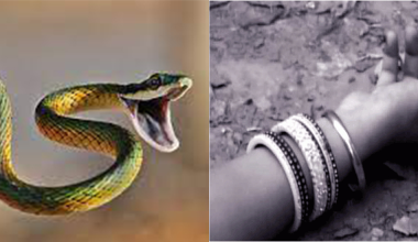 सर्पले डसेकी महिलाको झारफुक गर्दागर्दै मृत्यु