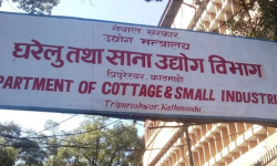 नौ सय साना उद्योग दर्ता, दुई सय ५९ खारेज