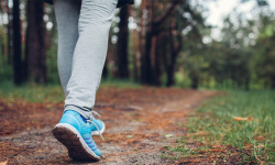 हिँड्नुका फाइदा