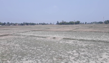 माटोमा उच्च अम्लियपना