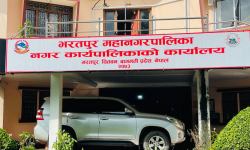 भरतपुरले तोक्यो डेङ्गु परीक्षण शुल्क