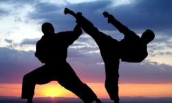 मार्सल आर्टस् टोली युके जाने