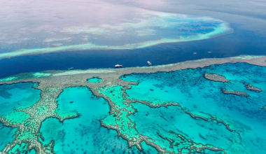 अस्ट्रेलियाको ‘ग्रेट ब्यारियर रीफ’ एल निनोको जोखिममा