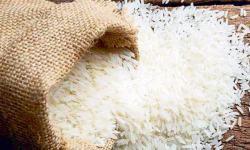 खाद्य कम्पनीमा चामल आउनै छाड्यो