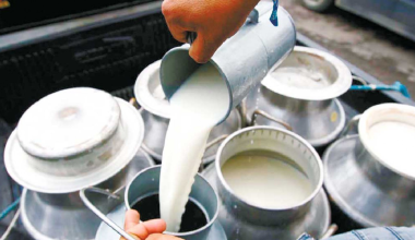 खुला दूध बिक्री गर्न रोक