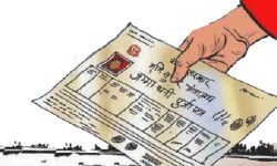 जमिनमा महिलाको स्वामित्व बढ्यो