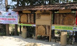 सामुदायिक ‘होमस्टे’मा जीन बैंक