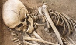 कपिलवस्तुको वनमा मानव कङ्काल फेला