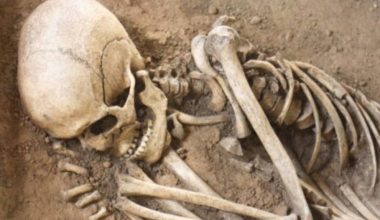 कपिलवस्तुको वनमा मानव कङ्काल फेला