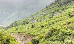 जमिन भासिँदै गएपछि खानीगाउँ पहिरोको जोखिममा