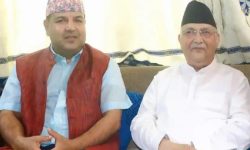 ओली राजनेता हुन् : कांग्रेस सांसद शर्मा