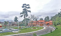 चुनेर थुन्ने कि थुनेर चुन्ने ?