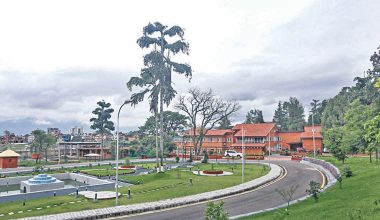 चुनेर थुन्ने कि थुनेर चुन्ने ?