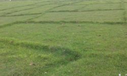 Locals donate land to build police station