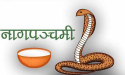 वास्तु ज्ञान : नागपञ्चमीमा भुलेर पनि नगर्नुहोस् यी काम