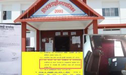 ऐनविपरीत उपप्रमुखलाई पाखा लगाउँदै वडाध्यक्षलाई कार्यवाहक मेयरको जिम्मेवारी