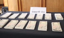 भक्तपुरमा १५ लाख नक्कली नोट बरामद