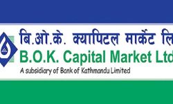 मनकामना इन्जिनियरिङ्ग हाइड्रोपावरको साधारण सेयर बाँडफाँट हुने