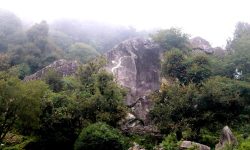 पाँचधारे पोखरी र किरातेश्वर ढुङ्गे बगैँचाको संरक्षण गरिँदै