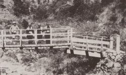 माई खोलाको पुल