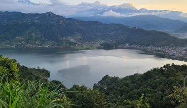 मोती पाइन सक्छ पोखराका तालमा