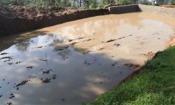 जलाधार संरक्षण गर्न हतुवागढीमा ३० सार्वजनिक पोखरी निर्माण