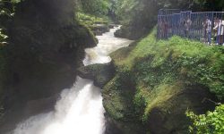 पातले छाँगोको व्यवस्थापनमा महानगरको चासो