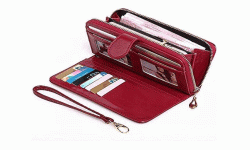 वास्तु ज्ञान : भुलेर पनि पर्समा नराख्नुहोस् यी चिज